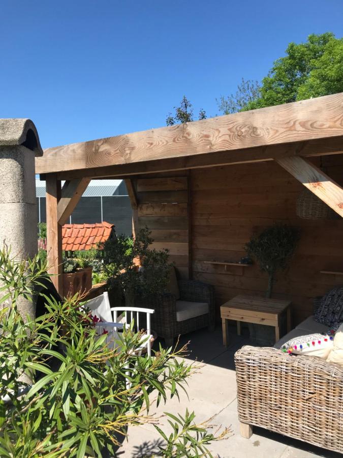 Birdy Villa Vogelenzang Dış mekan fotoğraf