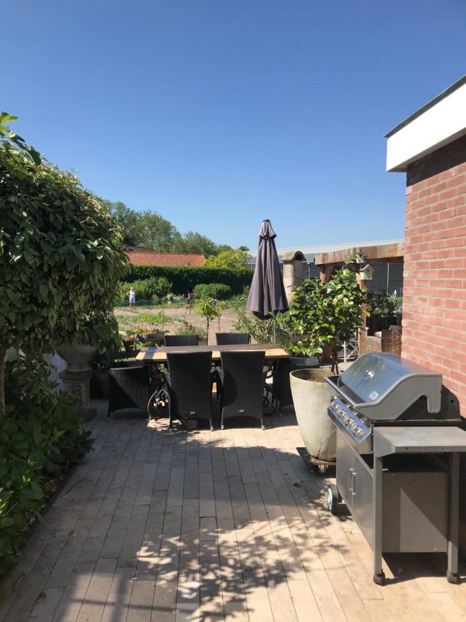 Birdy Villa Vogelenzang Dış mekan fotoğraf